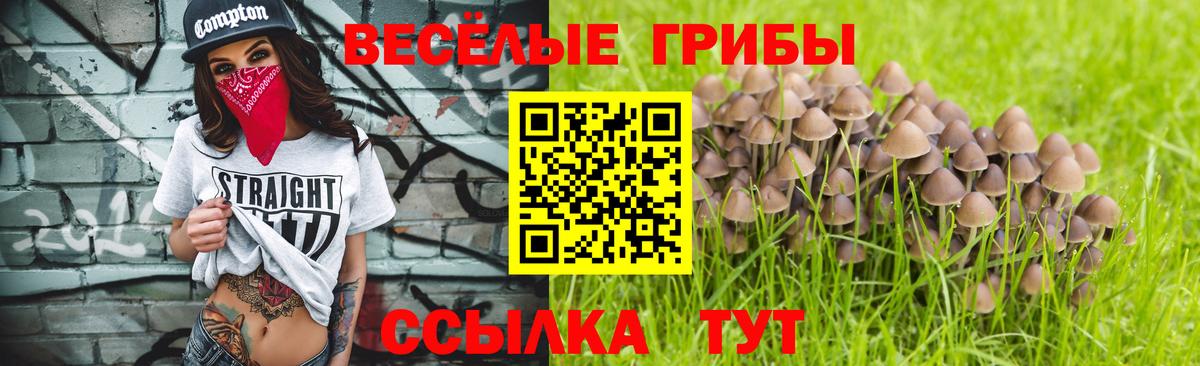 Галлюциногенные грибы ЛСД Павлово